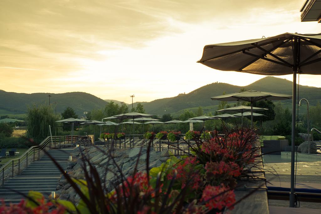 Hotel Barriere Ribeauville Ngoại thất bức ảnh